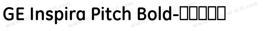 GE Inspira Pitch Bold字体转换